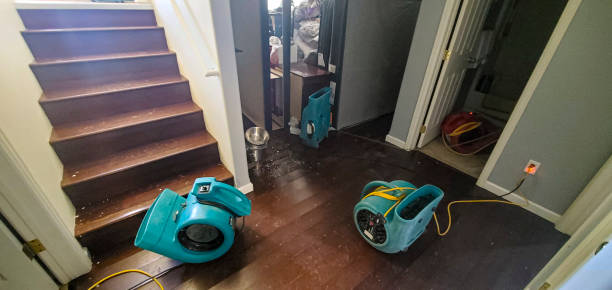Best Sewage cleanup and water damage restoration  in Camden, OH