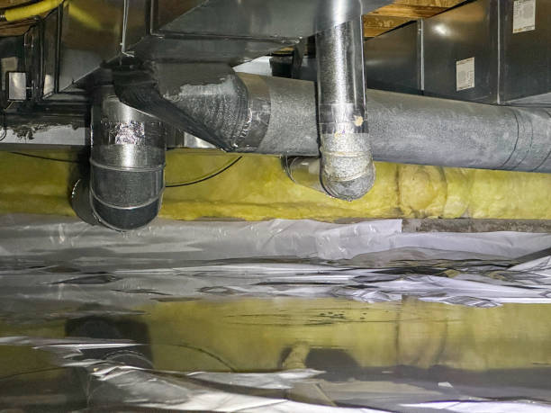 Best Professional water damage repair  in Camden, OH